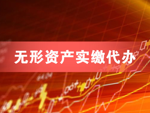 自贡无形资产实缴资本代办